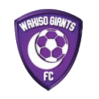 https://img.yiwangl.com/img/football/team/c5a548d374c3bb29f1190bf670442c90.png